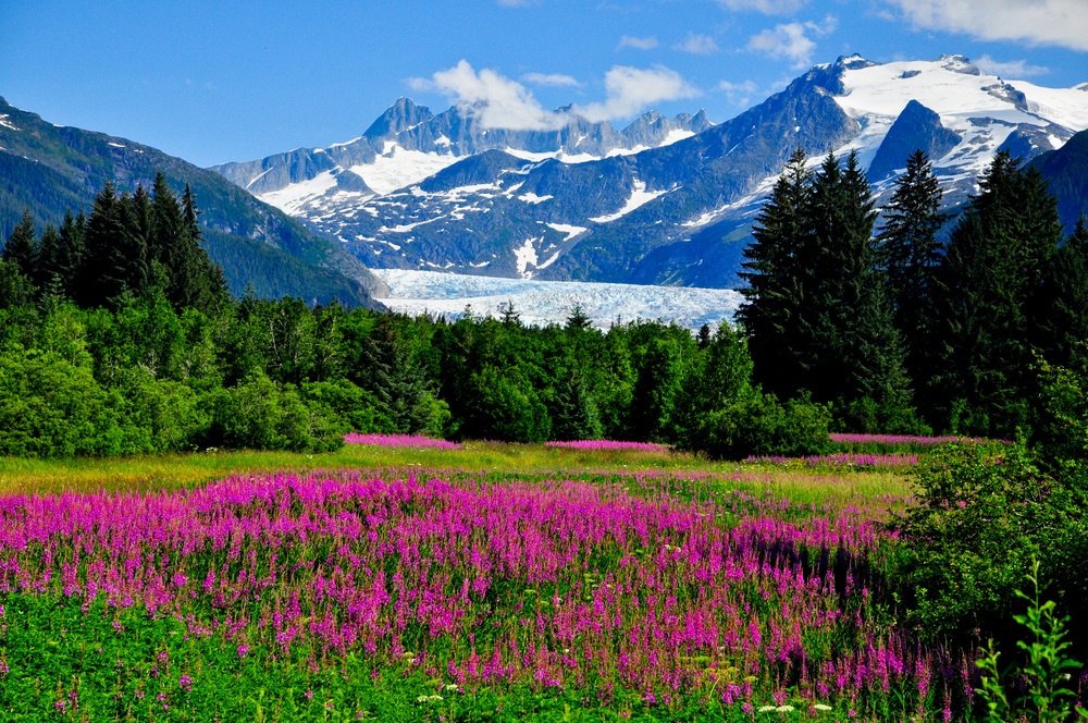 Travel Alaska