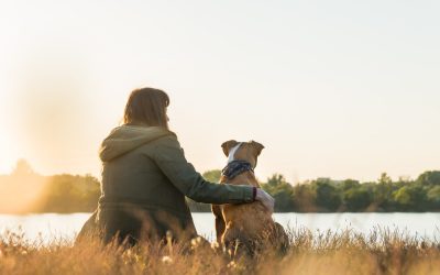 How Dogs Enhance Mental Health