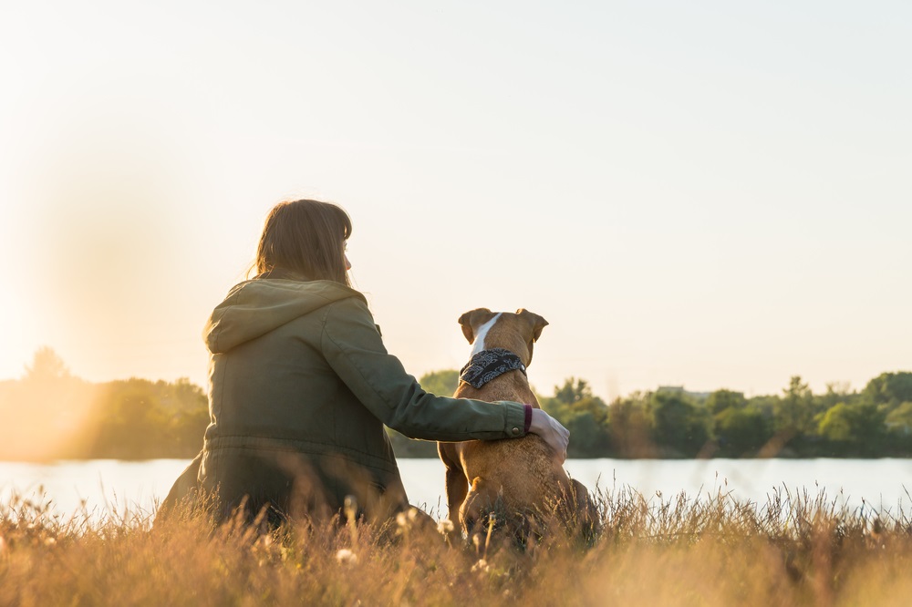 How Dogs Enhance Mental Health