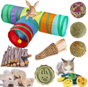 7-Toy Bundle for Bunnies