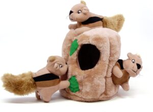 Outward Hound Hide-A-Squirrel Plush Dog Toy